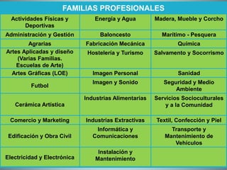 FAMILIAS PROFESIONALES
Actividades Físicas y
Deportivas
Energía y Agua Madera, Mueble y Corcho
Administración y Gestión Baloncesto Marítimo - Pesquera
Agrarias Fabricación Mecánica Química
Artes Aplicadas y diseño
(Varias Familias.
Escuelas de Arte)
Hostelería y Turismo Salvamento y Socorrismo
Artes Gráficas (LOE) Imagen Personal Sanidad
Futbol
Imagen y Sonido Seguridad y Medio
Ambiente
Cerámica Artística
Industrias Alimentarias Servicios Socioculturales
y a la Comunidad
Comercio y Marketing Industrias Extractivas Textil, Confección y Piel
Edificación y Obra Civil
Informática y
Comunicaciones
Transporte y
Mantenimiento de
Vehículos
Electricidad y Electrónica
Instalación y
Mantenimiento
 