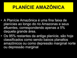 PLANÍCIE AMAZÔNICA
• A Planície Amazônica é uma fina faixa de
planícies ao longo do rio Amazonas e seus
afluentes, correspondendo apenas a 5%
daquela grande área.
• Os 95% restantes da antiga planície, são hoje
classificados como sendo baixos planaltos
amazônicos ou como depressão marginal norte
ou depressão marginal sul amazônicas.
 