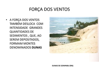 FORÇA DOS VENTOS
• A FORÇA DOS VENTOS
TAMBÉM DESLOCA COM
INTENSIDADE GRANDES
QUANTIDADES DE
SEDIMENTOS , QUE, AO
SEREM DEPOSITADOS,
FORMAM MONTES
DENOMINADOS DUNAS
DUNAS DE GENIPABU (RN)
 