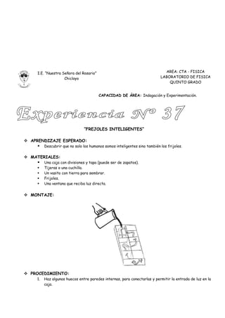 I.E. “Nuestra Señora del Rosario”                                        AREA: CTA - FISICA
                   Chiclayo                                                LABORATORIO DE FISICA
                                                                               QUINTO GRADO


                                        CAPACIDAD DE ÁREA: Indagación y Experimentación.




                               “FREJOLES INTELIGENTES”

 APRENDIZAJE ESPERADO:
        Descubrir que no solo los humanos somos inteligentes sino también los frijoles.

 MATERIALES:
        Una caja con divisiones y tapa (puede ser de zapatos).
        Tijeras o una cuchilla.
        Un vasito con tierra para sembrar.
        Frijoles.
        Una ventana que reciba luz directa.


 MONTAJE:




 PROCEDIMIENTO:
    1.   Haz algunos huecos entre paredes internas, para conectarlas y permitir la entrada de luz en la
         caja.
 