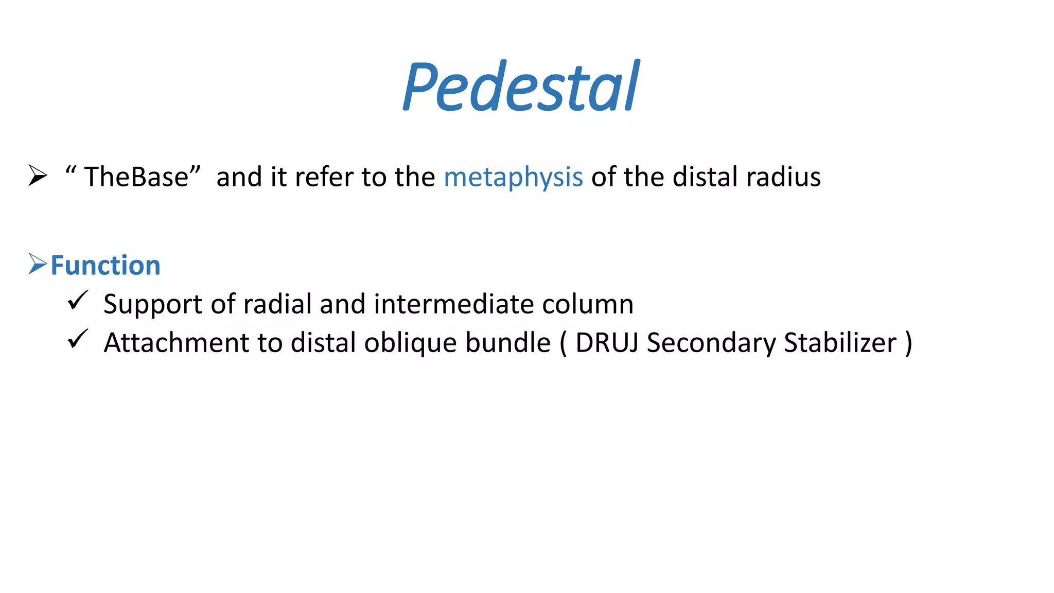 Pedestal
 “ TheBase” and it refer to the metaphysis of the distal radius
Function
 Support of radial and intermediate column
 Attachment to distal oblique bundle ( DRUJ Secondary Stabilizer )
 