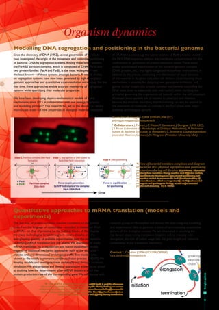 25
Organism dynamics
Modelling DNA segregation and positioning in the bacterial genome
Quantitative approaches to mRNA tra...