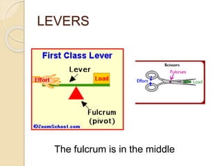 LEVERS
The fulcrum is in the middle
 