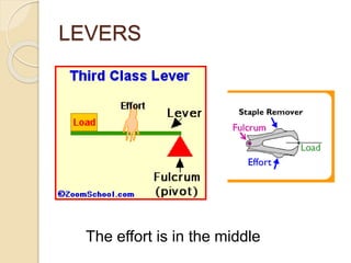 LEVERS
The effort is in the middle
 
