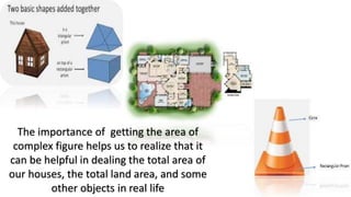 Complex Area.pptx