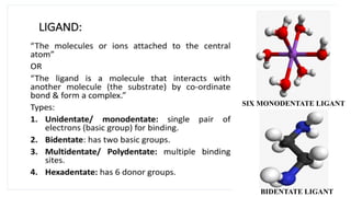 PHYSICAL PHARMACEUTICS : COMPLEXATION AND PROTEIN BINDING.pptx