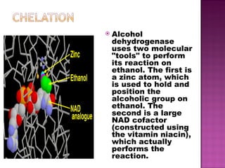 Alcohol dehydrogenase uses two molecular "tools" to perform its reaction on ethanol. The first is a zinc atom, which is used to hold and position the alcoholic group on ethanol. The second is a large NAD cofactor (constructed using the vitamin niacin), which actually performs the reaction. 