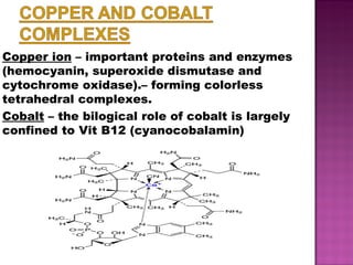 Copper ion  – important proteins and enzymes (hemocyanin, superoxide dismutase and cytochrome oxidase).– forming colorless tetrahedral complexes. Cobalt  – the bilogical role of cobalt is largely confined to Vit B12 (cyanocobalamin) 