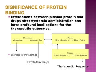 Interactions between plasma protein and drugs after systemic administration can have profound implications for the therapeutic outcomes. Excreted as metabolites Excreted Unchanged Therapeutic Response Elimination Metabolites  enzymes + drug Plasma Drug + Protein  Drug - Protein Tissues  Drug + Receptor  Drug - Receptor 