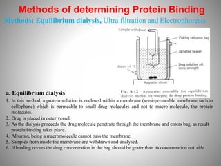 Methods of determining Protein Binding
Methods: Equilibrium dialysis, Ultra filtration and Electrophoresis
a. Equilibrium dialysis
1. In this method, a protein solution is enclosed within a membrane (semi-permeable membrane such as
cellophane) which is permeable to small drug molecules and not to macro-molecule, the protein
molecules.
2. Drug is placed in outer vessel.
3. As the dialysis proceeds the drug molecule penetrate through the membrane and enters bag, as result
protein binding takes place.
4. Albumin, being a macromolecule cannot pass the membrane.
5. Samples from inside the membrane are withdrawn and analysed.
6. If binding occurs the drug concentration in the bag should be grater than its concentration out side
 