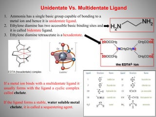 Unidentate Vs. Multidentate Ligand
1. Ammonia has a single basic group capable of bonding to a
metal ion and hence it is unidentate ligand.
2. Ethylene diamine has two accessible basic binding sites and
it is called bidentate ligand.
3. Ethylene diamine tetraacetate is a hexadentate.
If a metal ion binds with a multidentate ligand it
usually forms with the ligand a cyclic complex
called chelate.
If the ligand forms a stable, water soluble metal
chelate, it is called a sequestering agent.
 