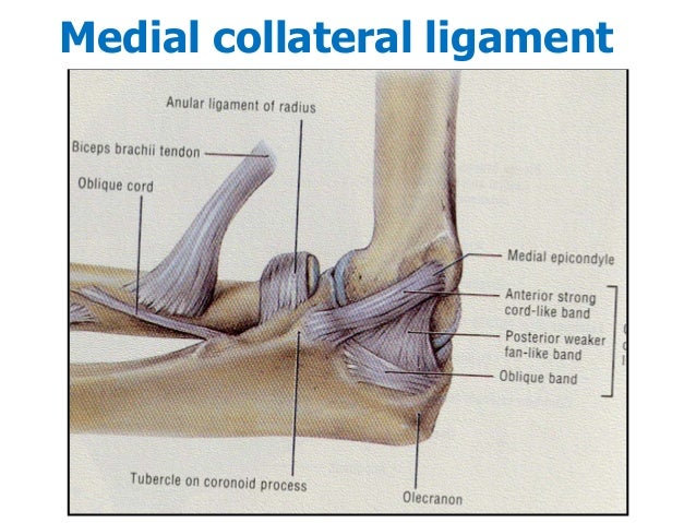 Complex elbow injury 2013