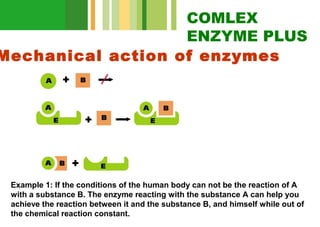 COMLEX
ENZYME PLUS
Mechanical action of enzymes

Example 1: If the conditions of the human body can not be the reaction of A
with a substance B. The enzyme reacting with the substance A can help you
achieve the reaction between it and the substance B, and himself while out of
the chemical reaction constant.

 