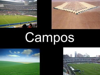 Campos
 