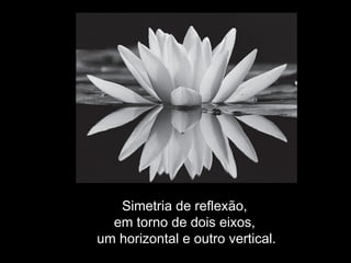 Simetria de reflexão,
em torno de dois eixos,
um horizontal e outro vertical.
 