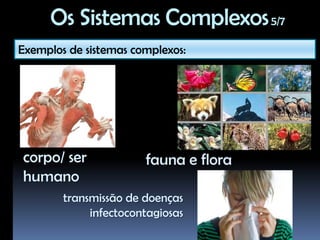 Os Sistemas Complexos 2/7E um sistema complexo?Constituem “um novo campo da ciência que estuda como as partes de um sistema concebem comportamentos do sistema como um todo e como esse sistema interage com seu ambiente (NewEnglandComplex Systems Institute).Um sistema complexo não é um estado, mas um processo. Cada componente do sistema pertence a um ambiente construído pela interação entre suas partes. Nada é fixo, ao contrário, existe um constante movimento de ação e reação e mudanças acontecem como passar do tempo (PAIVA, 2006, p. 91).