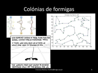 Colónias de formigasFrancisco Restivo, frestivo@braga.ucp.pt6