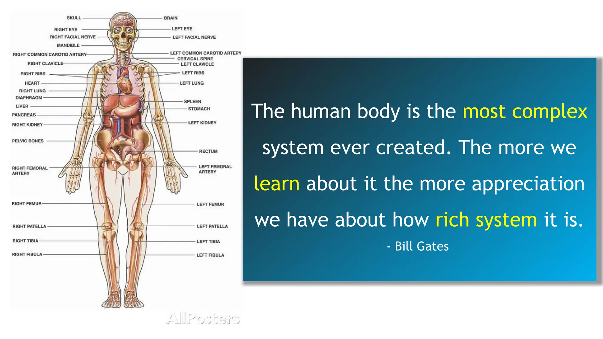 The human body is the most complex
system ever created. The more we
learn about it the more appreciation
we have about how rich system it is.
- Bill Gates
 