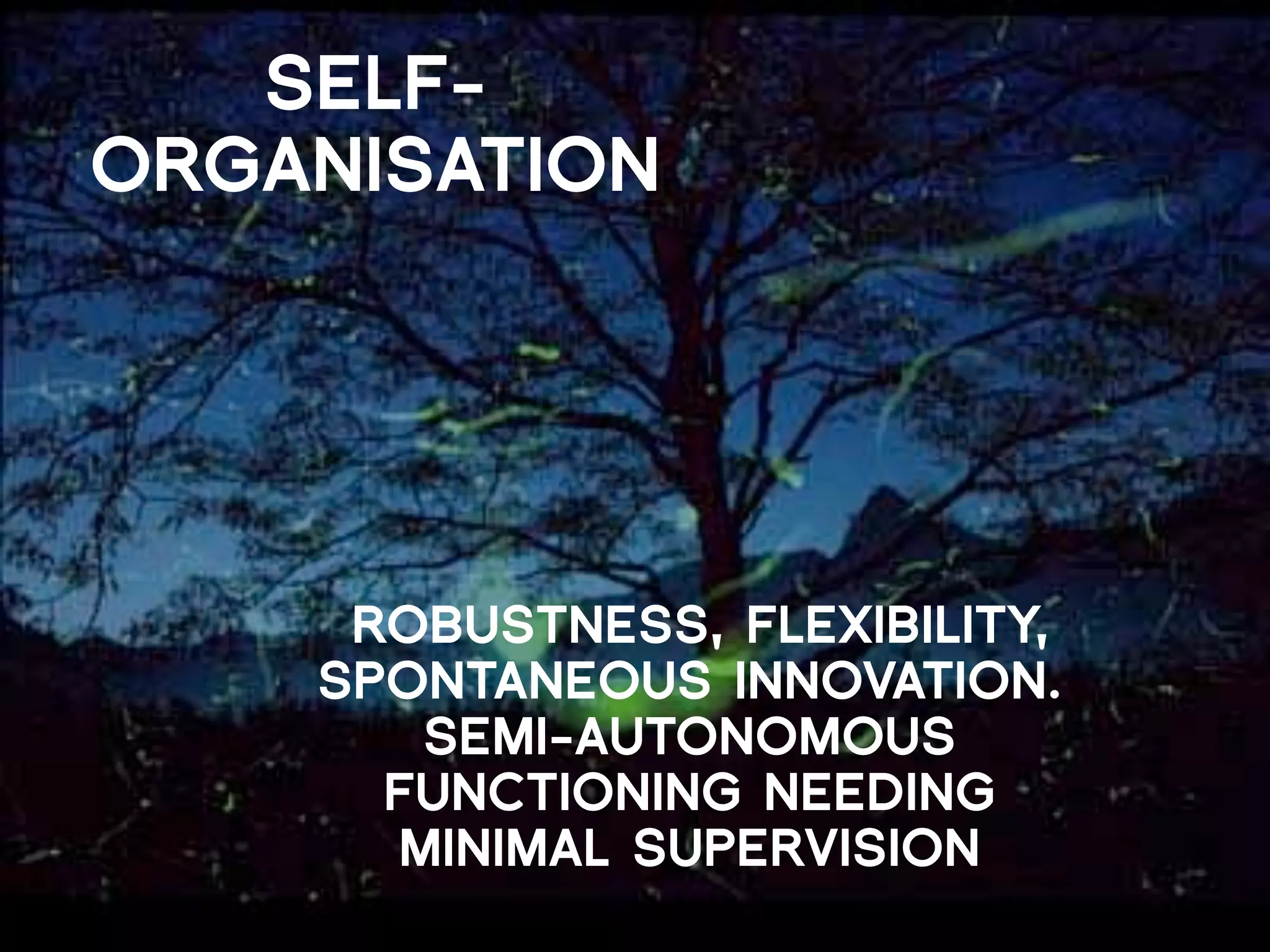 SELF-
ORGANISATION




     ROBUSTNESS, FLEXIBILITY,
    SPONTANEOUS INNOVATION.
       SEMI-AUTONOMOUS
      FUNCTIONING NEEDING
      MINIMAL SUPERVISION
 