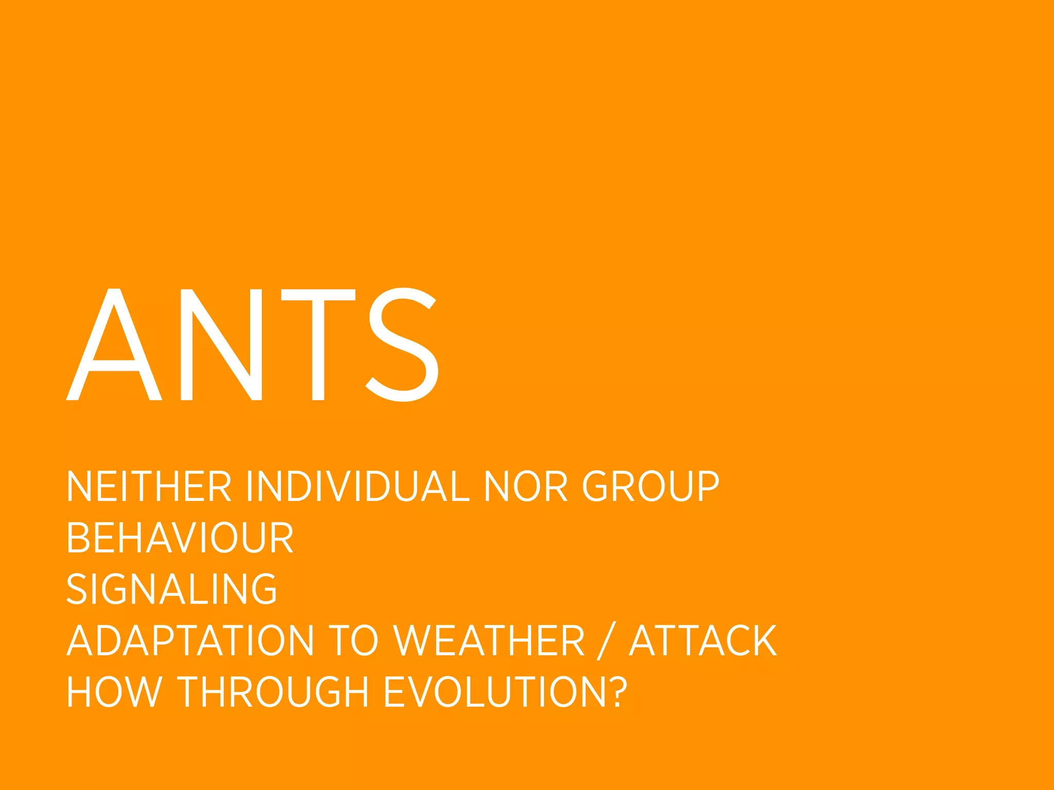 ANTS
NEITHER INDIVIDUAL NOR GROUP
BEHAVIOUR
SIGNALING
ADAPTATION TO WEATHER / ATTACK
HOW THROUGH EVOLUTION?
 