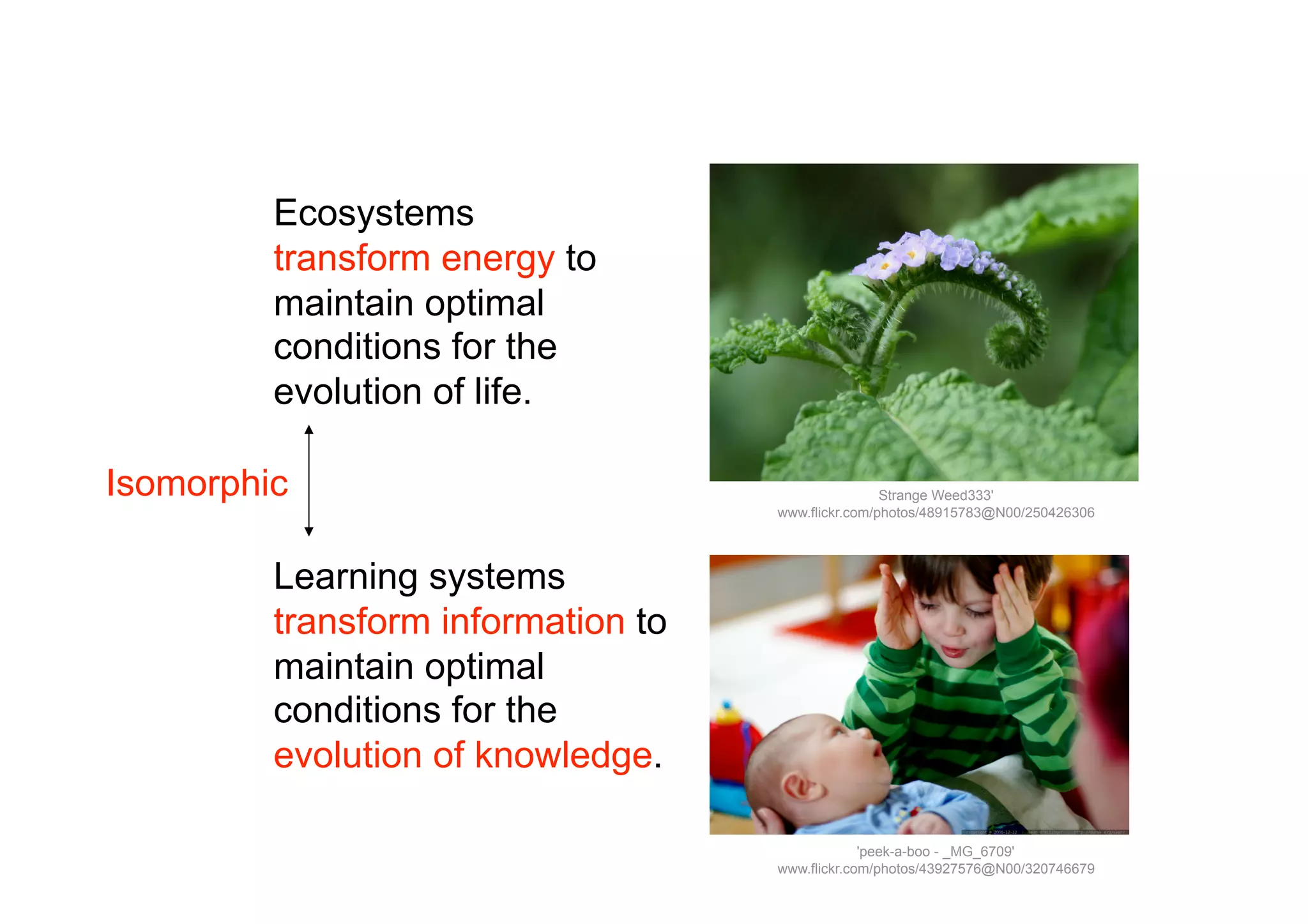 Ecosystems
         transform energy to
         maintain optimal
         conditions for the
         evolution of life.

Isomorphic                                          Strange Weed333'
                                    www.flickr.com/photos/48915783@N00/250426306




         Learning systems
         transform information to
         maintain optimal
         conditions for the
         evolution of knowledge.

                                                 'peek-a-boo - _MG_6709'
                                    www.flickr.com/photos/43927576@N00/320746679
 