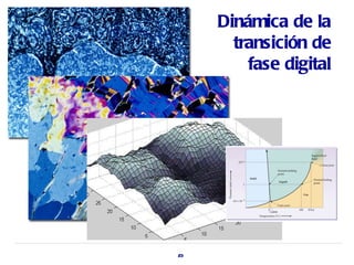 Dinámica de la
       transición de
         fase digital




23
 