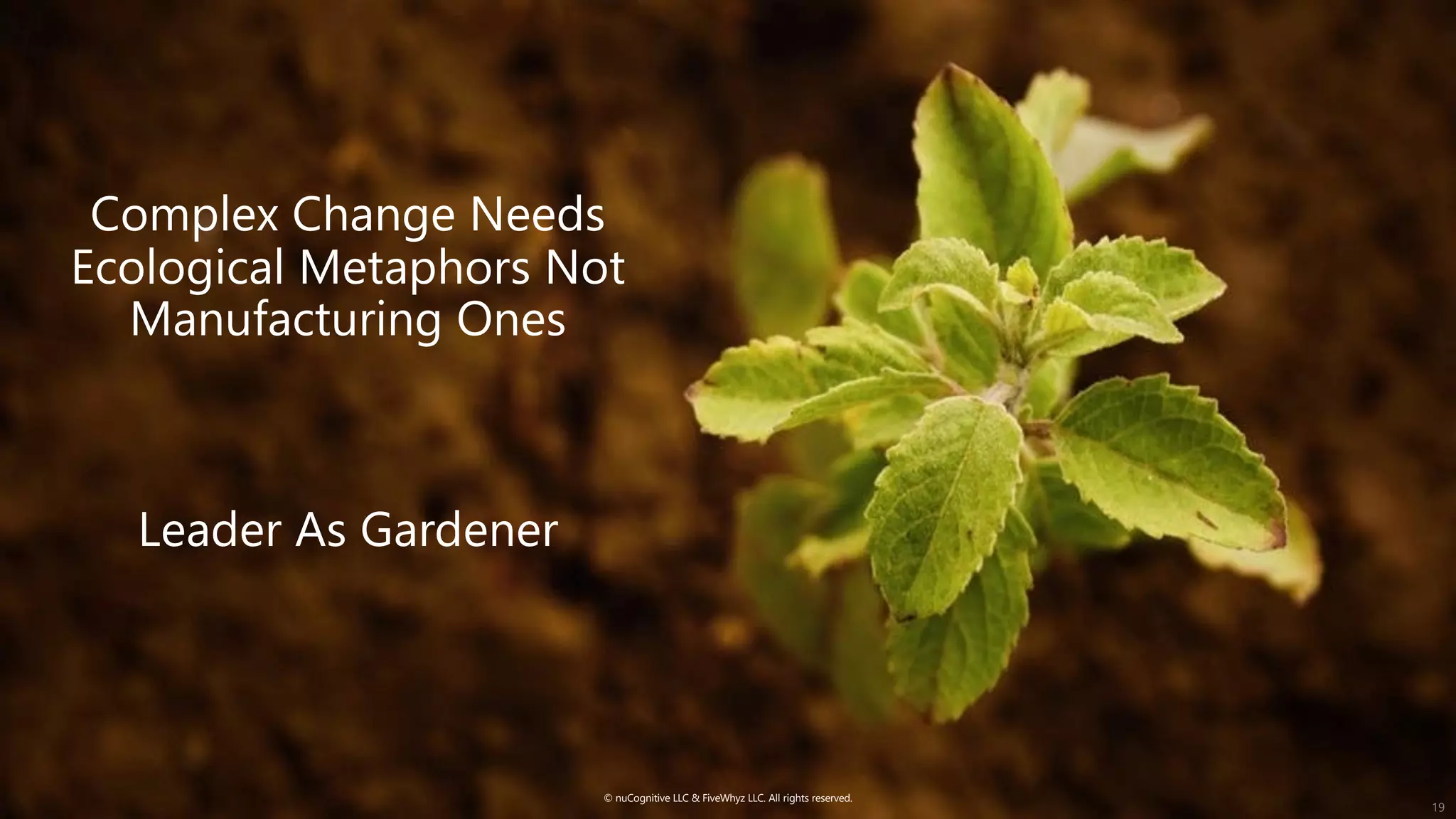 Complex Change Needs
Ecological Metaphors Not
Manufacturing Ones
Leader As Gardener
19
© nuCognitive LLC & FiveWhyz LLC. All rights reserved.
 