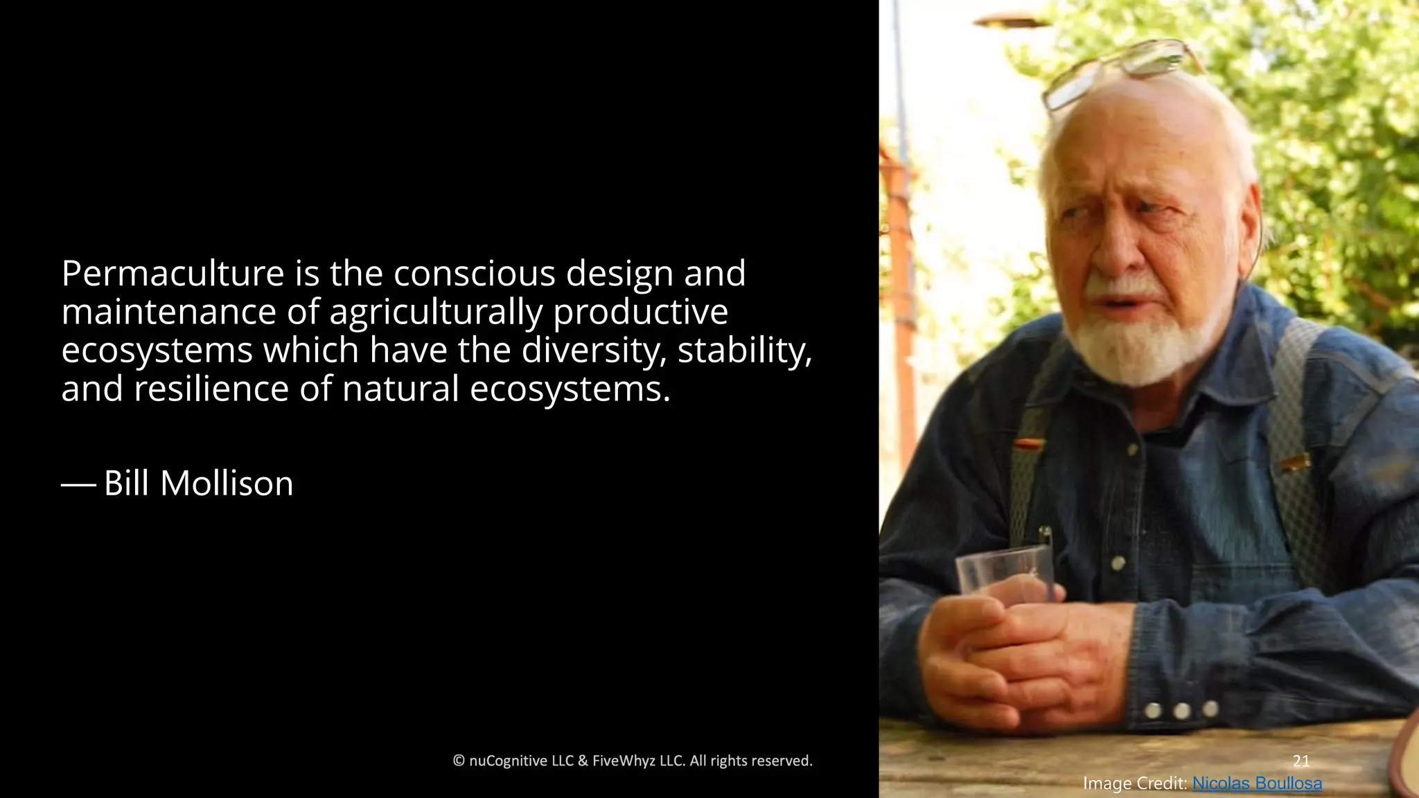 Permaculture is the conscious design and
maintenance of agriculturally productive
ecosystems which have the diversity, stability,
and resilience of natural ecosystems.
— Bill Mollison
21
Image Credit: Nicolas Boullosa
 