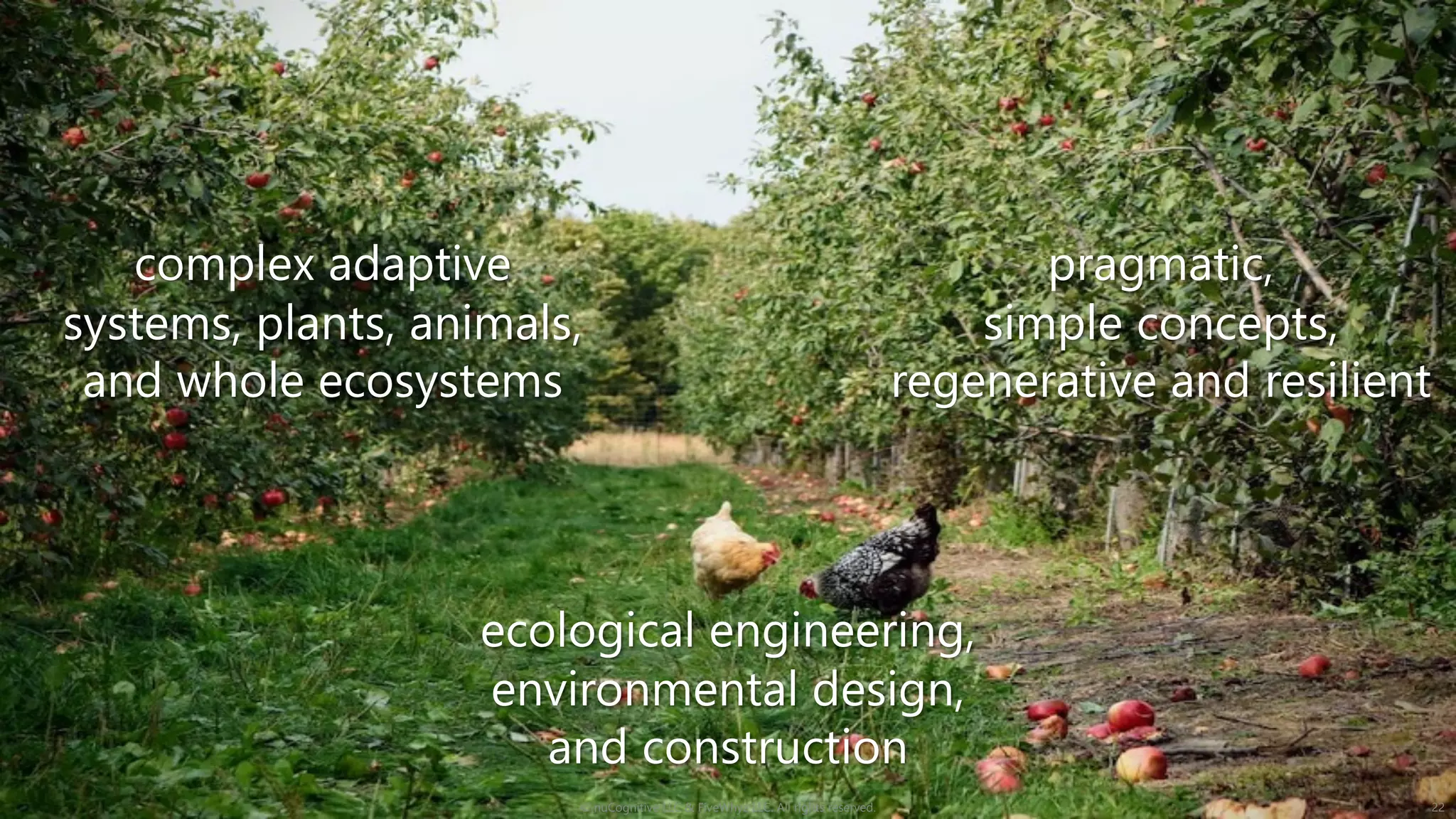 © nuCognitive LLC & FiveWhyz LLC. All rights reserved. 22
ecological engineering,
environmental design,
and construction
pragmatic,
simple concepts,
regenerative and resilient
complex adaptive
systems, plants, animals,
and whole ecosystems
 