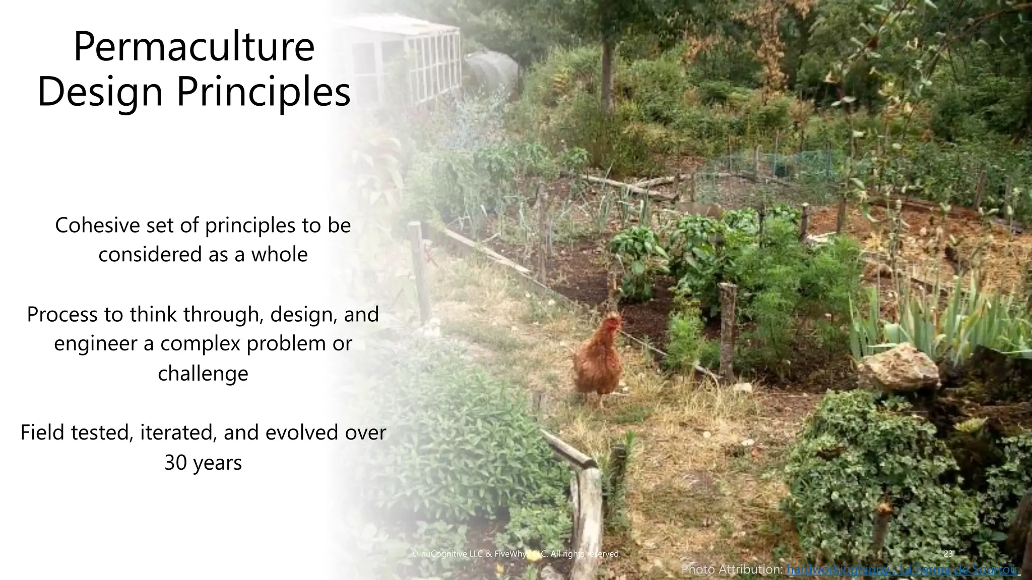 Cohesive set of principles to be
considered as a whole
Process to think through, design, and
engineer a complex problem or
challenge
Field tested, iterated, and evolved over
30 years
© nuCognitive LLC & FiveWhyz LLC. All rights reserved. 23
Permaculture
Design Principles
Photo Attribution: hardworkinghippy : La Ferme de Sourrou
 