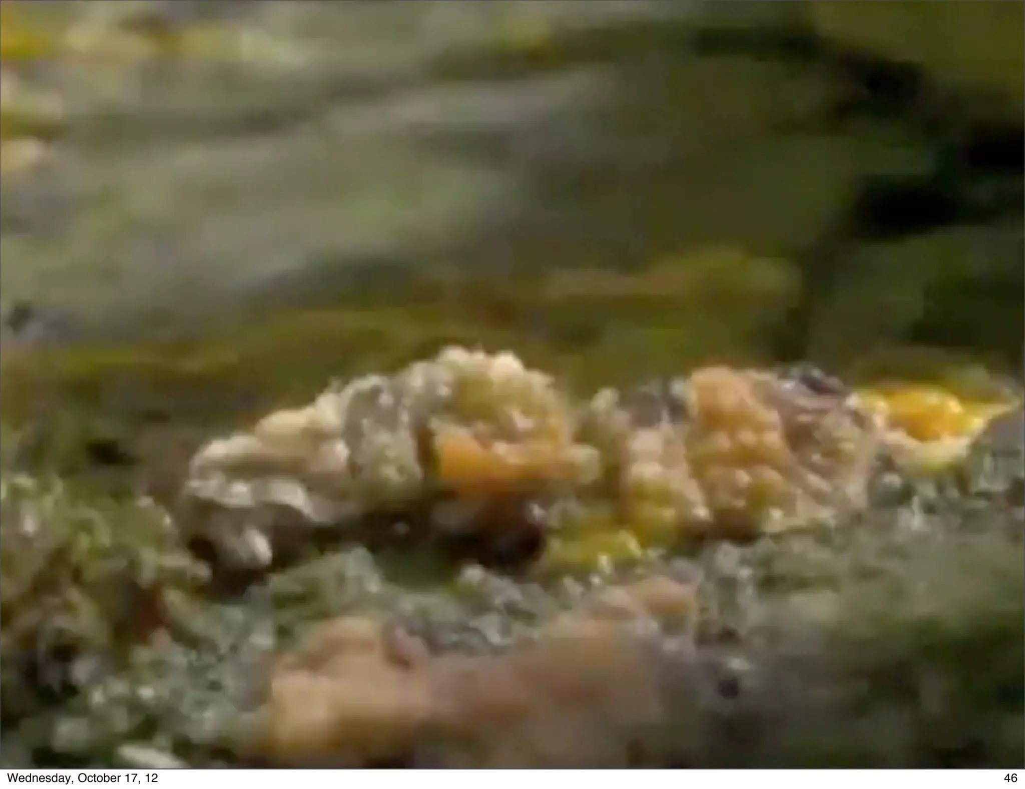 Slime Mold Emergence



Wednesday, October 17, 12               46
 