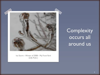Ice Storm – Winter of 2008 – My Front Yard(Lilly Pods )Complexity occurs all around us2