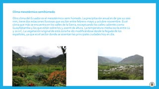Clima mesotérmico semihúmedo
Otro clima del Ecuador es el mesotérmico semi húmedo. La precipitación anual es de 500 a2.000
mm, tiene dos estaciones lluviosas que oscilan entre febrero-mayo y octubre-noviembre. Es el
clima que más se encuentra en los valles de la Sierra, exceptuando los valles calientes como
Guayllabamba y los que están sobre los 3.200mt de altura. La temperatura media oscila entre 12
y 20 0 C. La vegetación original de está zona ha ido modificándose desde la llegada de los
españoles, ya que es el sector donde se asientan las principales ciudades hoy en día.
 