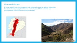 Clima mesotérmico seco
El clima mesotérmico seco se presenta en el fondo de los valles de callejón interandino.
Las temperaturas y la vegetación son las mismas que las del clima anterior. Las
precipitaciones son inferiores a los 500 mm anuales.
 