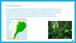 Clima tropical húmedo
El clima tropical húmedo tiene precipitaciones anuales elevadas que superan los 3.000
mm llegando hasta 6.000 mm en algunos lugares. La temperatura es de 25 0 C que se
mantienen casi durante todo el año. La vegetación es siempre verde, la gran cantidad
de precipitaciones permiten el crecimiento de selvas tropicales exuberantes
características de la Amazonía y la parte oriental de la provincia de Esmeraldas.
 