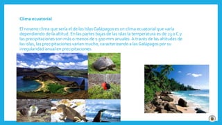 Clima ecuatorial
El noveno clima que sería el de las Islas Galápagos es un clima ecuatorial que varía
dependiendo de la altitud. En las partes bajas de las islas la temperatura es de 23 0 C y
las precipitaciones son más o menos de 1.500 mm anuales.A través de las altitudes de
las islas, las precipitaciones varían mucho, caracterizando a las Galápagos por su
irregularidad anual en precipitaciones.
 