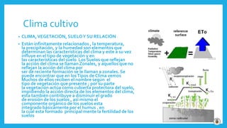 Clima cultivo
• CLIMA,VEGETACIÓN, SUELOY SU RELACIÓN
• Están infinitamente relacionados , la temperatura,
la precipitación, y la humedad son elementos que
determinan las características del clima y este a su vez
influye en el tipo de vegetación y en
las características del suelo Los Suelos que reflejan
la acción del clima se llaman Zonales, y aquellos que no
reflejan la acción del clima por
ser de reciente formación se le llaman a zonales. Se
puede encontrar que en losTipos de Clima vemos
Muchos de ellos reciben el nombre según el
tipo de vegetación que presente ; por su parte
la vegetación actúa como cubierta protectora del suelo,
impidiendo la acción directa de los elementos del clima,
esta también contribuye a disminuir el grado
de erosión de los suelos , así mismo el
componente orgánico de los suelos esta
integrado básicamente por el humus . en
la cual esta formado principal mente la fertilidad de los
suelos
 