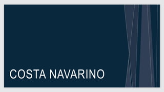 COSTA NAVARINO
 