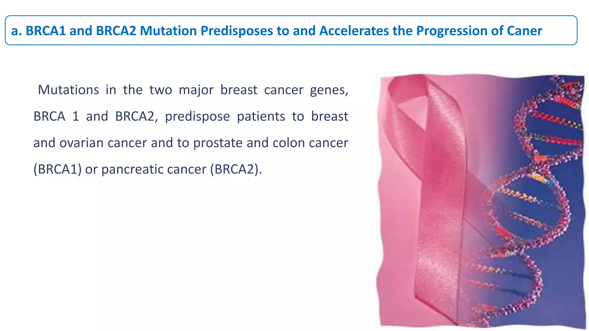 Mutations in the two major breast cancer genes,
BRCA 1 and BRCA2, predispose patients to breast
and ovarian cancer and to prostate and colon cancer
(BRCA1) or pancreatic cancer (BRCA2).
a. BRCA1 and BRCA2 Mutation Predisposes to and Accelerates the Progression of Caner
 
