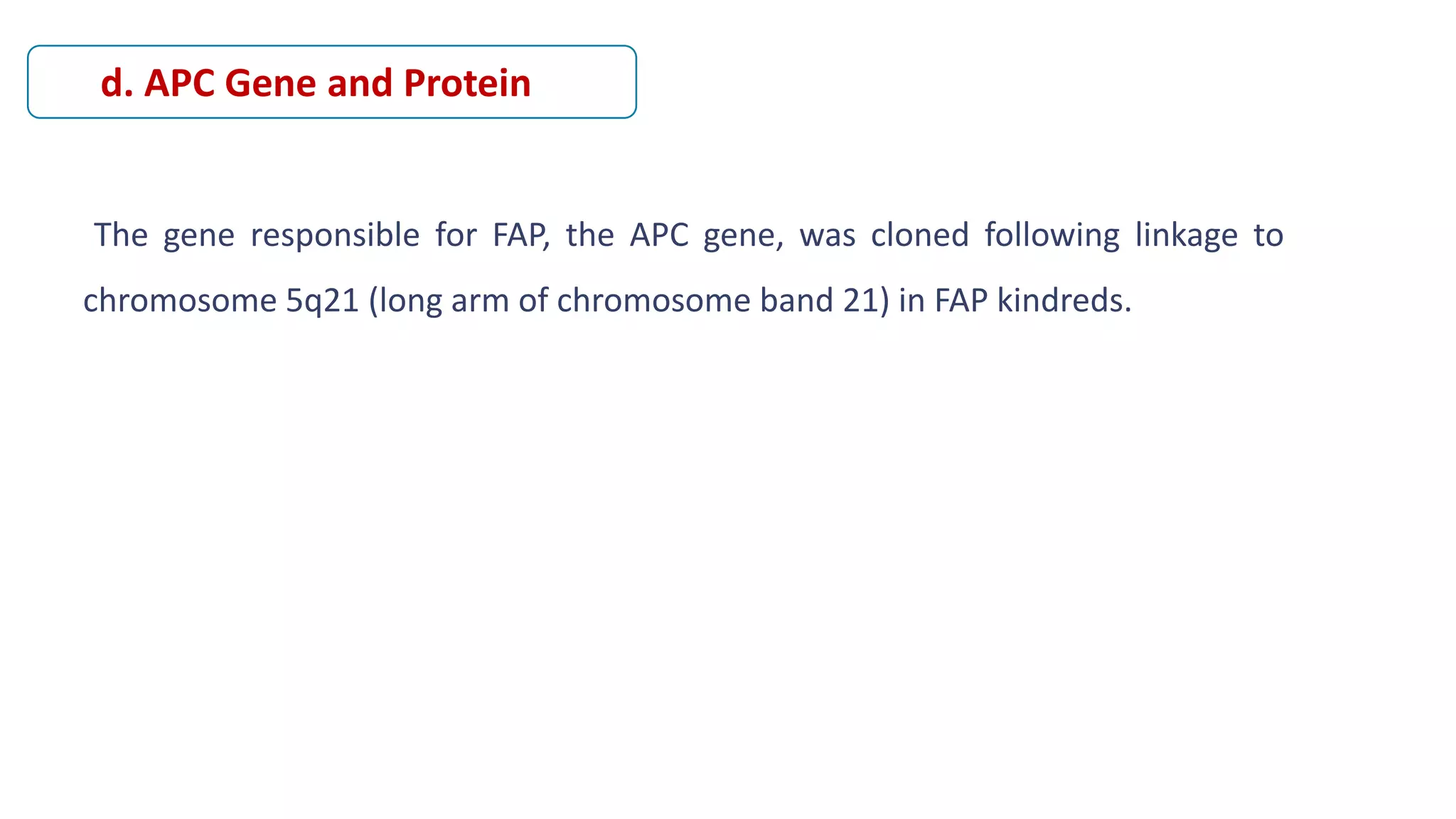 The gene responsible for FAP, the APC gene, was cloned following linkage to
chromosome 5q21 (long arm of chromosome band 21) in FAP kindreds.
d. APC Gene and Protein
 