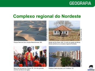 Vegetação e Clima do Brasil para colorir - NerdProfessor