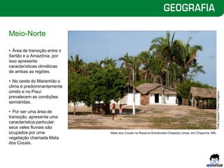 Meio-Norte
• Área de transição entre o
Sertão e a Amazônia, por
isso apresenta
características climáticas
de ambas as regiões.
• No oeste do Maranhão o
clima é predominantemente
úmido e no Piauí
prevalecem as condições
semiáridas.
• Por ser uma área de
transição, apresenta uma
característica particular:
seus vales fluviais são
ocupados por uma
vegetação chamada Mata
dos Cocais.
Mata dos Cocais na Reserva Extrativista Chapada Limpa, em Chapinha, MA.
Palê
Zuppani/
Pulsar
Imagens
 