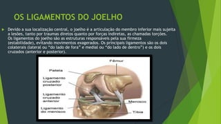 OS LIGAMENTOS DO JOELHO
 Devido a sua localização central, o joelho é a articulação do membro inferior mais sujeita
a les...