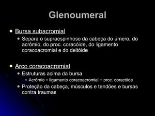  Bursa subacromialBursa subacromial
 Separa o supraespinhoso da cabeça do úmero, doSepara o supraespinhoso da cabeça do úmero, do
acrômio, do proc. coracóide, do ligamentoacrômio, do proc. coracóide, do ligamento
coracoacromial e do deltóidecoracoacromial e do deltóide
 Arco coracoacromialArco coracoacromial
 Estruturas acima da bursaEstruturas acima da bursa
 Acrômio + ligamento coracoacromial + proc. coracóideAcrômio + ligamento coracoacromial + proc. coracóide
 Proteção da cabeça, músculos e tendões e bursasProteção da cabeça, músculos e tendões e bursas
contra traumascontra traumas
GlenoumeralGlenoumeral
 