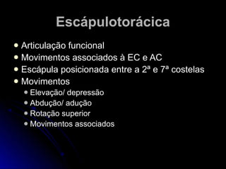 EscápulotorácicaEscápulotorácica
 Articulação funcionalArticulação funcional
 Movimentos associados à EC e ACMovimentos associados à EC e AC
 Escápula posicionada entre a 2ª e 7ª costelasEscápula posicionada entre a 2ª e 7ª costelas
 MovimentosMovimentos
 Elevação/ depressãoElevação/ depressão
 Abdução/ aduçãoAbdução/ adução
 Rotação superiorRotação superior
 Movimentos associadosMovimentos associados
 
