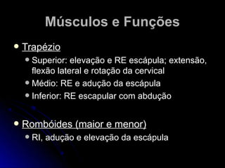 Músculos e FunçõesMúsculos e Funções
 TrapézioTrapézio
 Superior: elevação e RE escápula; extensão,Superior: elevação e RE escápula; extensão,
flexão lateral e rotação da cervicalflexão lateral e rotação da cervical
 Médio: RE e adução da escápulaMédio: RE e adução da escápula
 Inferior: RE escapular com abduçãoInferior: RE escapular com abdução
 Rombóides (maior e menor)Rombóides (maior e menor)
 RI, adução e elevação da escápulaRI, adução e elevação da escápula
 