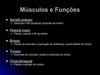  Serrátil anteriorSerrátil anterior
 Abdução e RE escápula; protusão de ombroAbdução e RE escápula; protusão de ombro
 Peitoral maiorPeitoral maior
 Flexão, adução e RI do ombroFlexão, adução e RI do ombro
 BícepsBíceps
 Flexão do cotovelo e supinação do antebraço; auxilia flexão do ombroFlexão do cotovelo e supinação do antebraço; auxilia flexão do ombro
 TrícepsTríceps
 Extensão do cotovelo; auxilia a extensão do ombroExtensão do cotovelo; auxilia a extensão do ombro
 CóracobraquialCóracobraquial
 Flexão e adução do ombroFlexão e adução do ombro
Músculos e FunçõesMúsculos e Funções
 