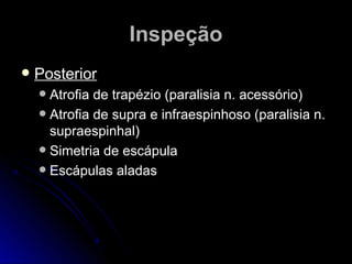  PosteriorPosterior
 Atrofia de trapézio (paralisia n. acessório)Atrofia de trapézio (paralisia n. acessório)
 Atrofia de supra e infraespinhoso (paralisia n.Atrofia de supra e infraespinhoso (paralisia n.
supraespinhal)supraespinhal)
 Simetria de escápulaSimetria de escápula
 Escápulas aladasEscápulas aladas
InspeçãoInspeção
 