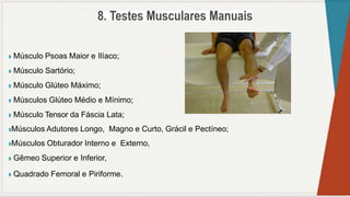 ◗ Músculo Psoas Maior e Ilíaco;
◗ Músculo Sartório;
◗ Músculo Glúteo Máximo;
◗ Músculos Glúteo Médio e Mínimo;
◗ Músculo Tensor da Fáscia Lata;
◗Músculos Adutores Longo, Magno e Curto, Grácil e Pectíneo;
◗Músculos Obturador Interno e Externo,
◗ Gêmeo Superior e Inferior,
◗ Quadrado Femoral e Piriforme.
 