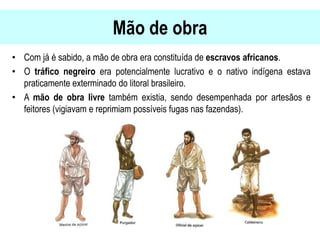 Mão de obra
• Com já é sabido, a mão de obra era constituída de escravos africanos.
• O tráfico negreiro era potencialmente lucrativo e o nativo indígena estava
praticamente exterminado do litoral brasileiro.
• A mão de obra livre também existia, sendo desempenhada por artesãos e
feitores (vigiavam e reprimiam possíveis fugas nas fazendas).
 